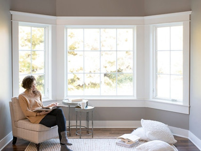 Louisville Bay and Bow Windows